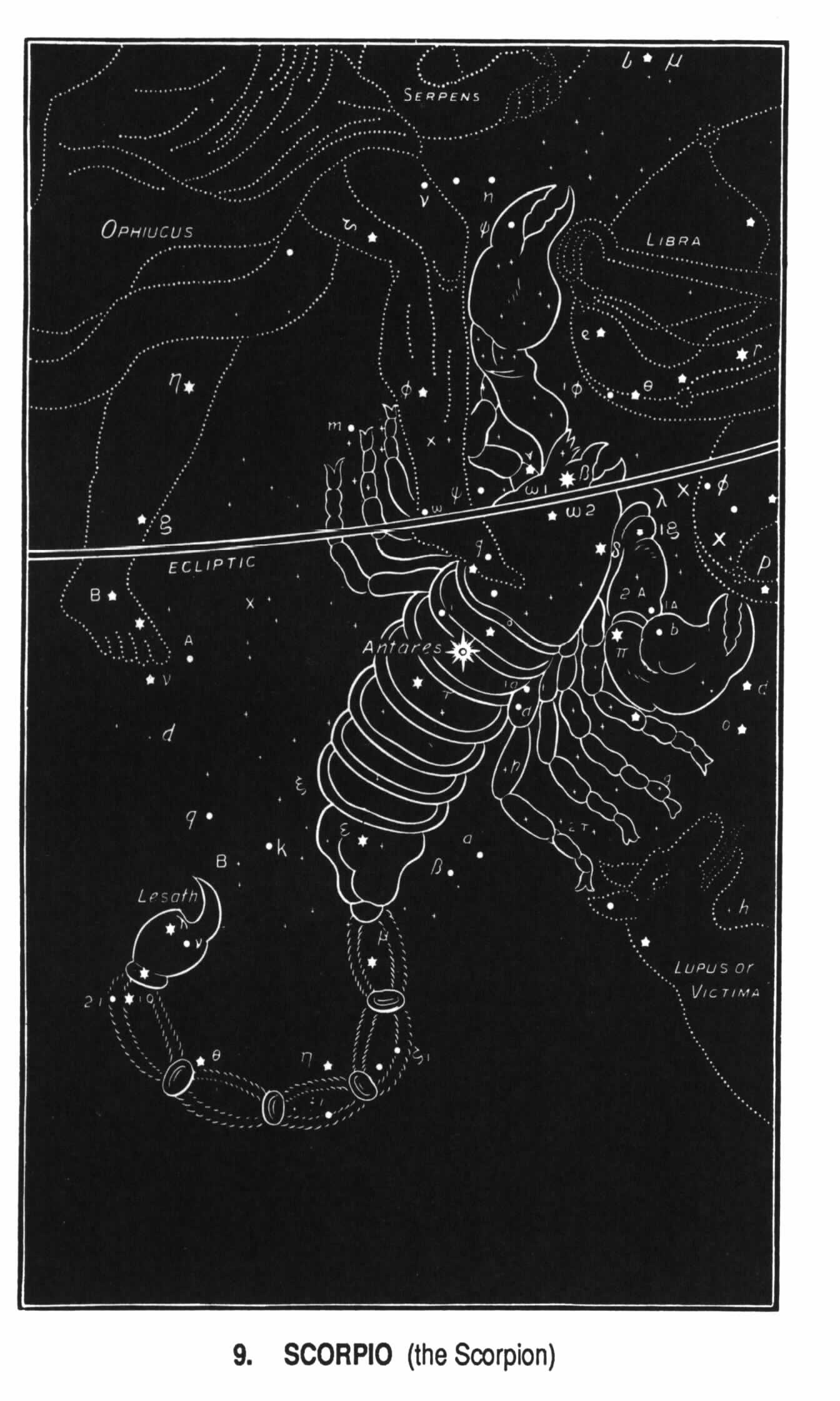Scorpio.jpg (158792 bytes)